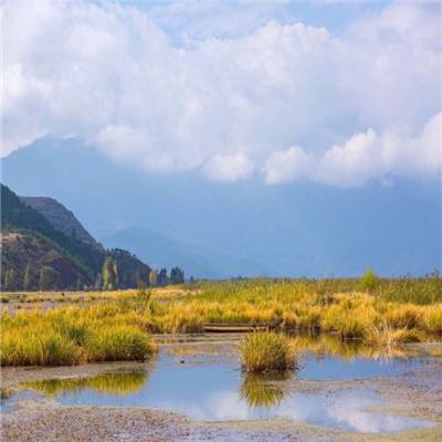 隋建国：我想抓住虚空